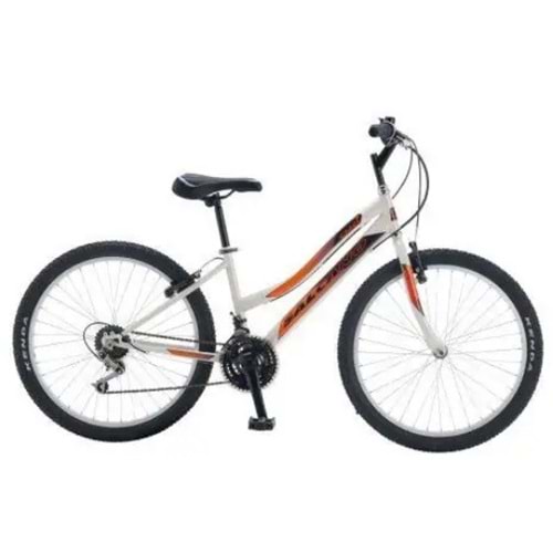 Salcano Excel 24 Jant 21 V Açık Gri/Gri Çocuk Bisikleti