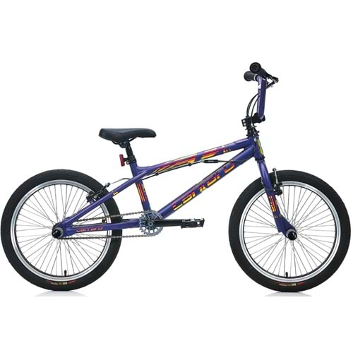 Carraro Rave 20 Jant 270H 1V V Mat Mor/Hologram Çocuk Bisikleti